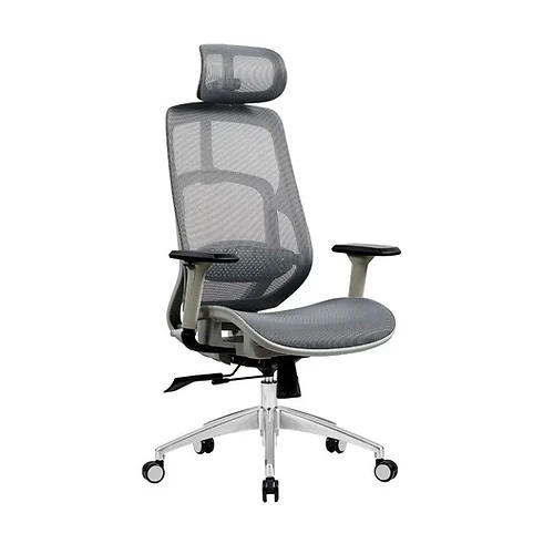 Ergonomic Mesh Chair