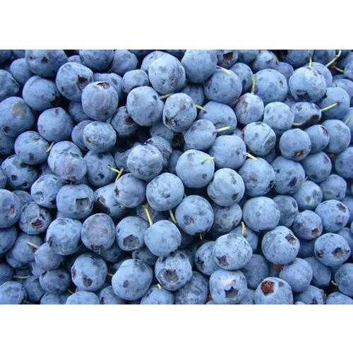 Iqf Frozen Blueberries - Color: Blue