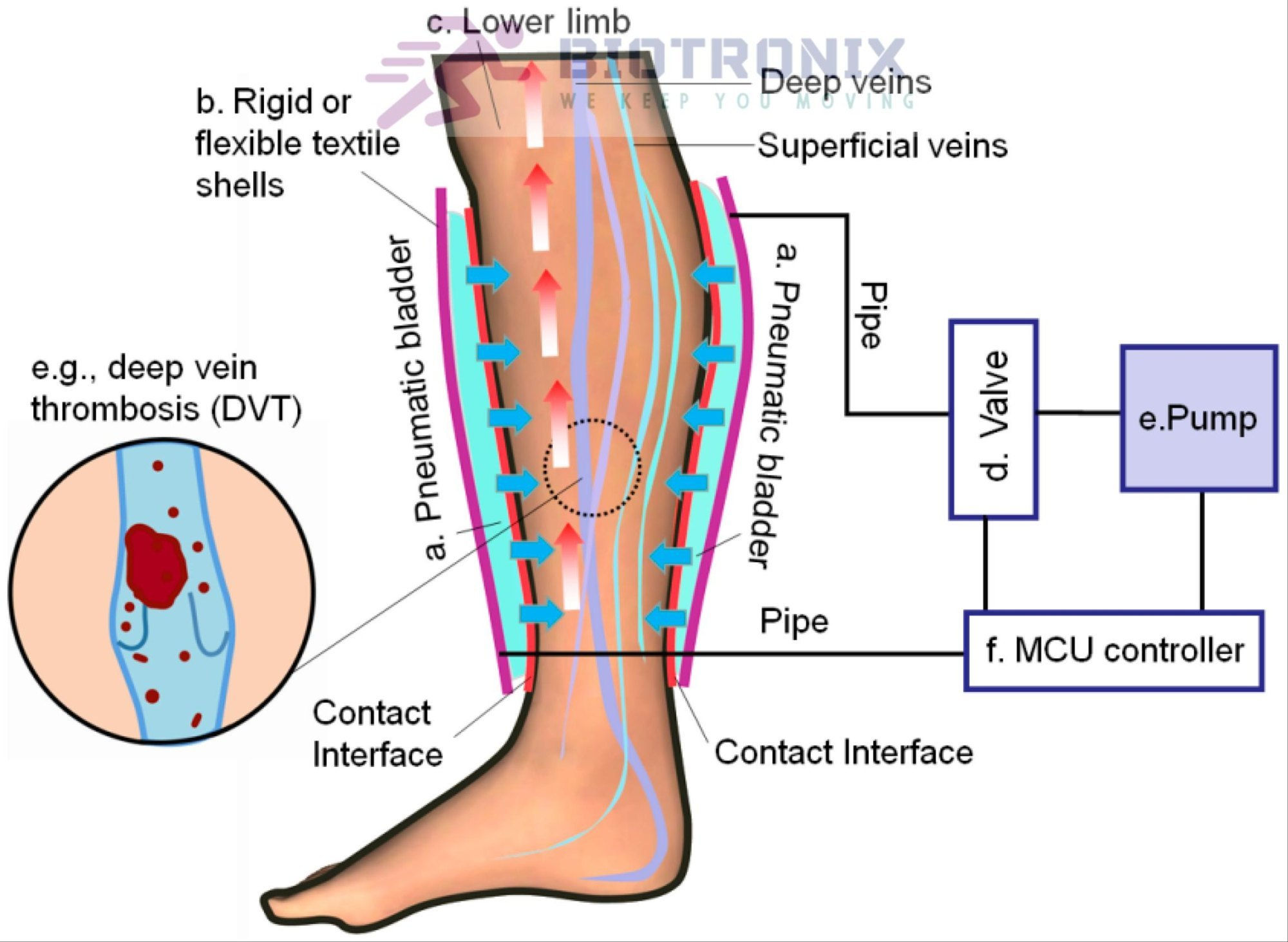 DVT Pneumatic Air Compression Lymphedema Manual 4 Chamber LEGS ARM WAIST