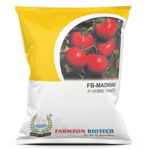 Tomato Seeds -Madhav F1 Hybrid - Cultivation Type: Common