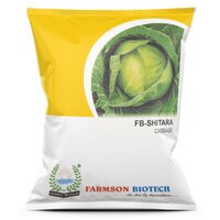 Fb-shitara Cabbage Seeds - Cultivation Type: Common