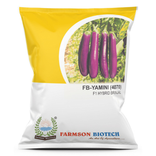 Brinjal Seeds - Semi Erect Hybrid, Pink Ellipsoidal Fruits 100-125 Gm | High Disease Resistance, Colour Retention, Long Harvest Period
