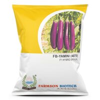 Brinjal Seeds Fb-yamini 4070 F1 Hybrid - Cultivation Type: Common