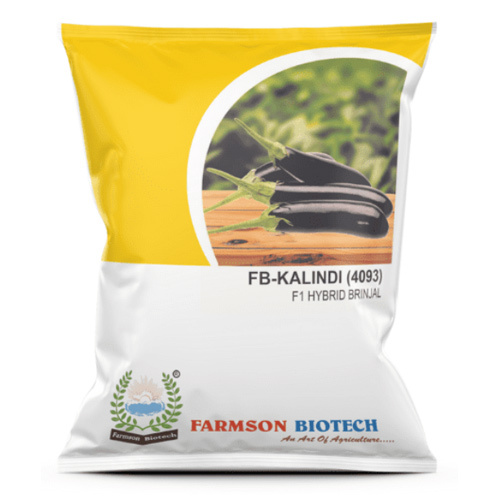 Brinjal Seeds -Kalindi 4093 F1 Hybrid - Erect Plant Type, Shiny Black Medium Long Cylinder Shape Fruit, Cluster Bearing, 90-120 Gm Weight, 14-15 cm Length, 95%-99% Purity