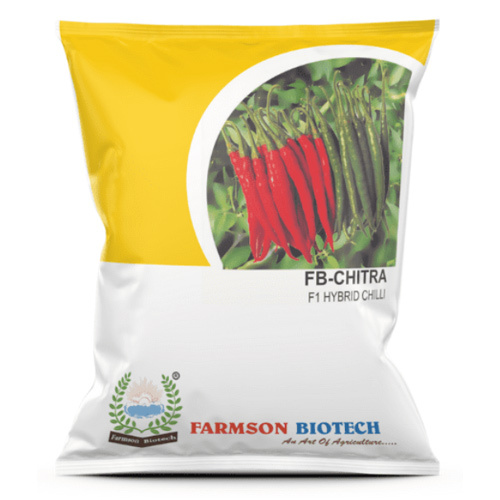 CHILLI SEEDS -CHITRA F1 HYBRID - 9-11 CM FRUIT LENGTH, DARK GREEN TO DEEP RED COLOR | INTERMEDIATE DISEASE RESISTANCE, HIGH PUNGENT FRUITS