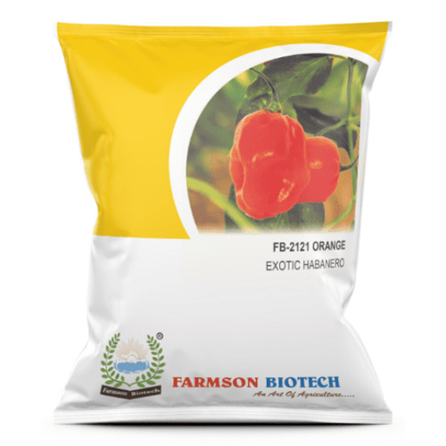 Orange Habanero F1 Hybrid Chilli Seeds - 5-6 cm Long, Vibrant Orange Color | High Purity 95%-99%, Disease Resistant, Intense Pungency 200000-425000 SHU, 9 Months Shelf Life