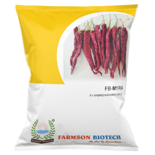 Chilli Seeds -Myra Kashmiri Chili F1 Hybrid - Cultivation Type: Common