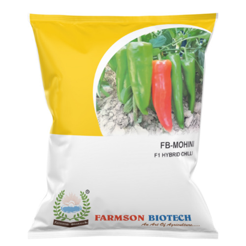 Chilli Seeds -Mohini F1 Hybrid - Cultivation Type: Common