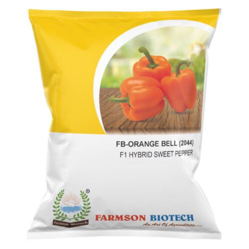 Chilli Seeds -Orange Bell 2044 F1 Hybrid - Cultivation Type: Common