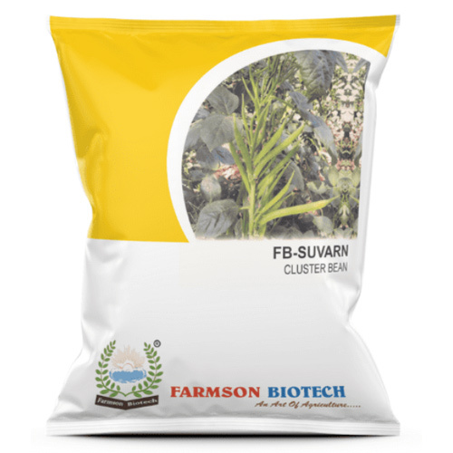 Cluster Bean Seeds -Suvarn - Cultivation Type: Common