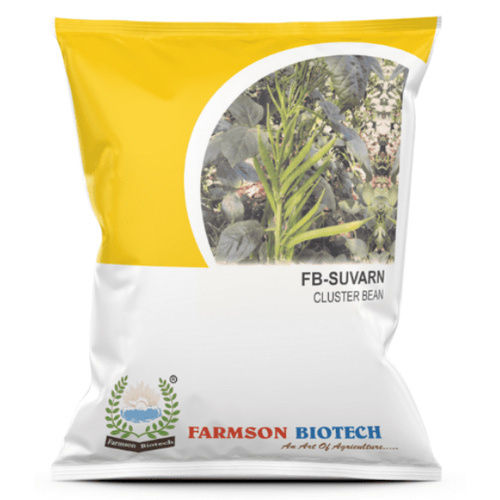 Fb-Suvarn Cluster Bean Seeds - Cultivation Type: Common