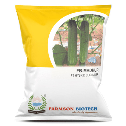 Cucumber Seeds -Madhur F1 Hybrid - Color: Brown