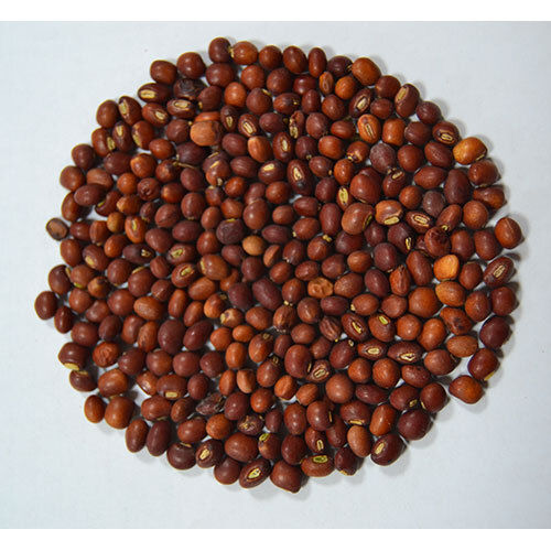 Pigeon Peas