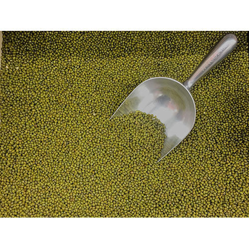 Moong Bean - Color: Green