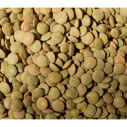 Green lentils