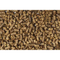 Sunflower Meal