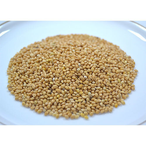 Yellow Millet