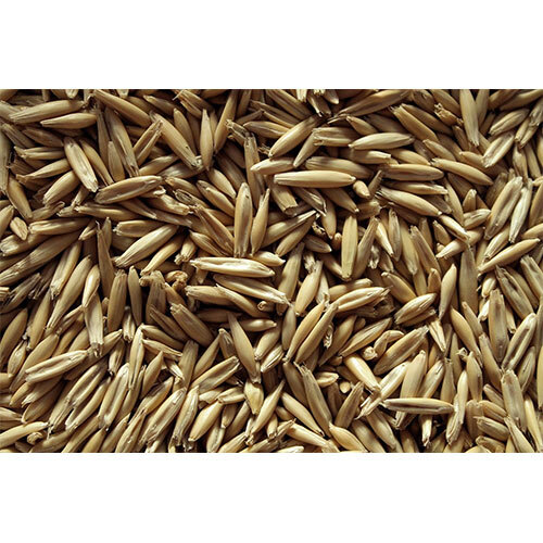 Whole Oats