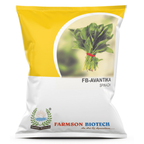 -AVANTIKA SPINACH SEEDS - 90-110 Days Maturity 95%-99% Purity Uniform Green Broad Leaves Suitable for Kharif & Rabi Seasons