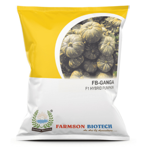 -GANGA F1 HYBRID PUMPKIN SEEDS - Flattish Round Shape Mottled Green with White Dots 5-7 Kg Weight Deep Orange Flesh 80-85 Days Maturity Suitable for Long Distance Transportation
