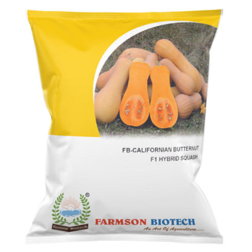 Pumpkin Seeds -californian Butternut F1 Hybrid - Cultivation Type: Common