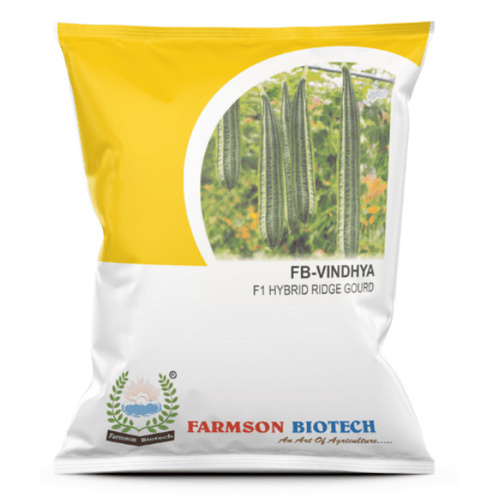 -VINDHYA F1 HYBRID RIDGE GOURD SEEDS - Moderate Vigorous Vine Growth Fruit Length 25-30 Cm Shiny Green Color High Yielding Hybrid Disease Tolerant