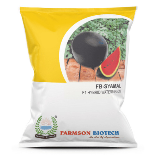 Watermelon Seeds -Shyamal F1 Hybrid - Cultivation Type: Common