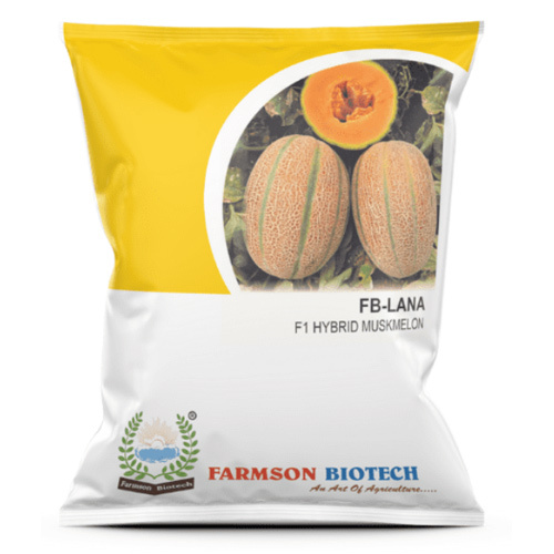 Muskmelon Seeds Fb-Lana F1 Hybrid - Cultivation Type: Common