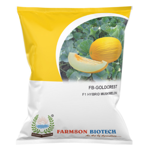 Muskmelon Seeds -Goldcrest F1 Hybrid - Cultivation Type: Common