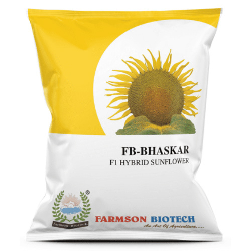 Sunflower Seeds -bhaskar F1 Hybrid - Cultivation Type: Common