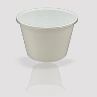 Plastic Container With Lid