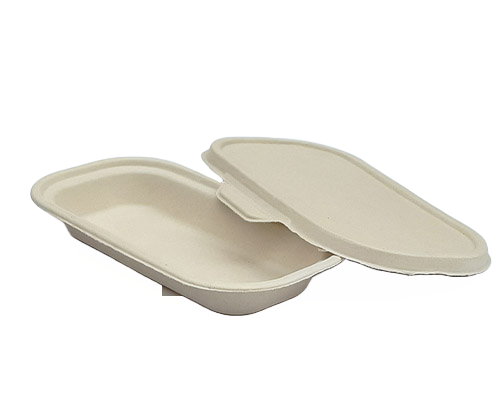 Bagasse Meal Tray with Lid