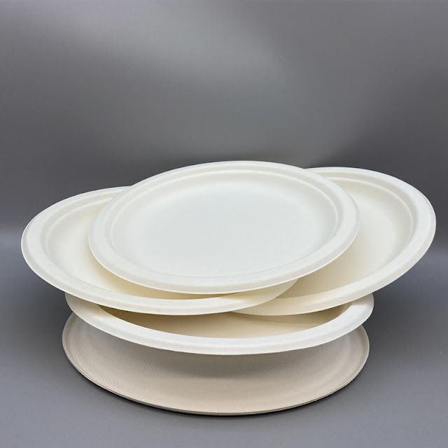 Bagasse Round Plate