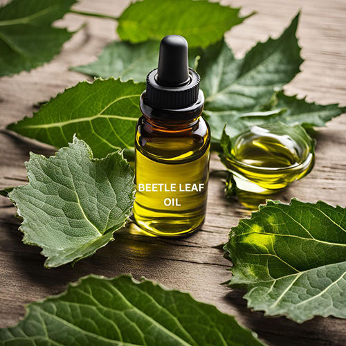 Betel Leaf Oil - Age Group: All Age Group