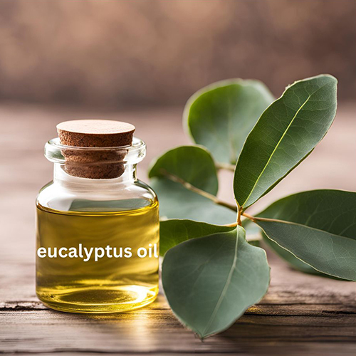 Eucalyptus Oil