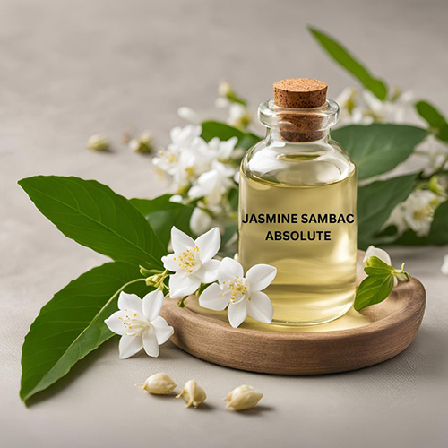 Jasmine Sambac Absolute Oil