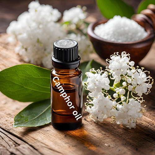 Camphor Oil