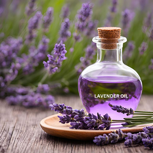 Lavender Oil