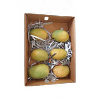 12 Piece Mango Box For Export - High-quality Paper, Rectangular Design, Brown Color, Matt Finish | Ideal For Food Use With Ventilation Holes