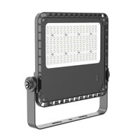 150 Watt Led Flood Lights
