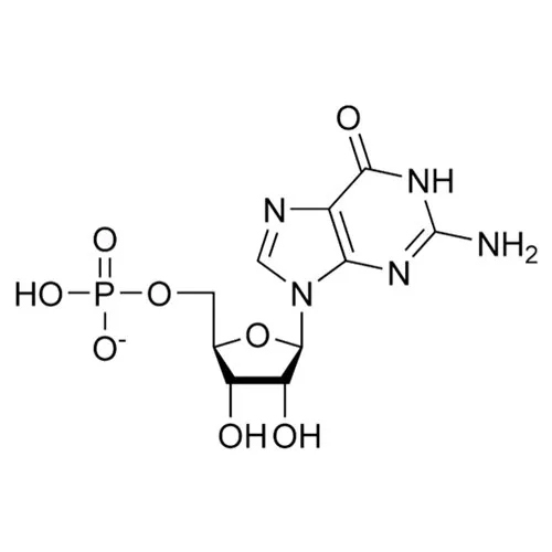 Disodium Ribonucleotides