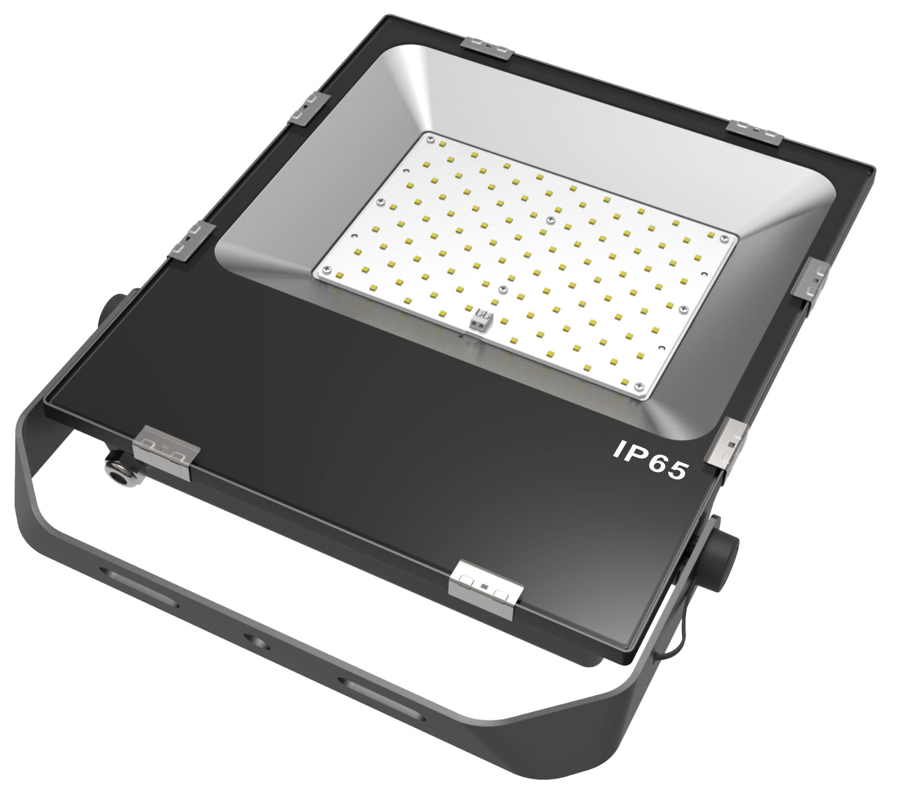 100 Watt  Flood Light