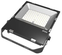 100 Watt  Flood Light
