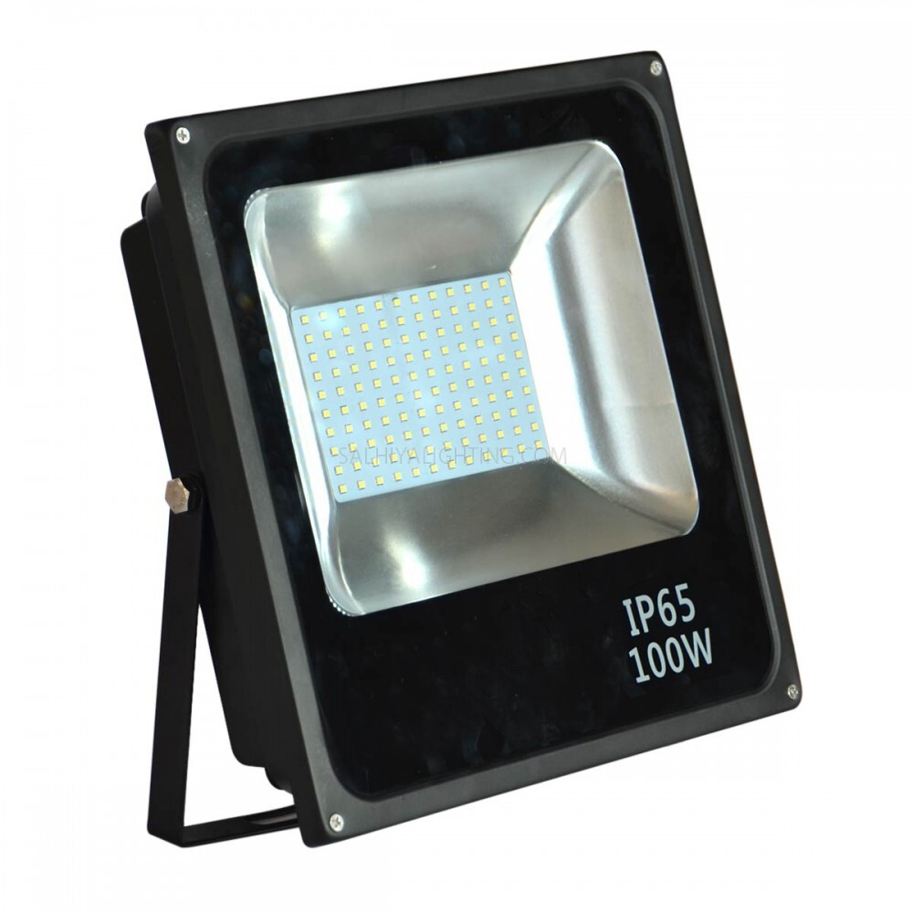 100 Watt  Flood Light