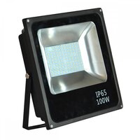 100 Watt  Flood Light