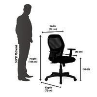 Nilkamal Diva Mid Back Mesh Chair (Black)