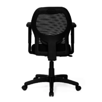 Nilkamal Diva Mid Back Mesh Chair (Black)