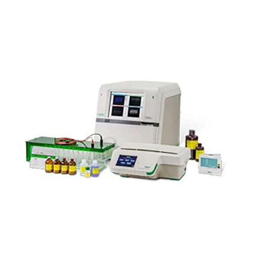 2D Protein Gel Electrophoresis Services