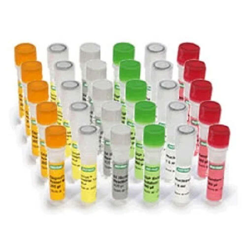 Cell Line, Cell Culture Media & reagents Cell Line, Cell Culture Media & reagents