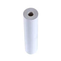 Ecg Paper Roll - 210x20 Millimeter, High-quality Paper Material, Manual Use, Portable For Medical Professionals